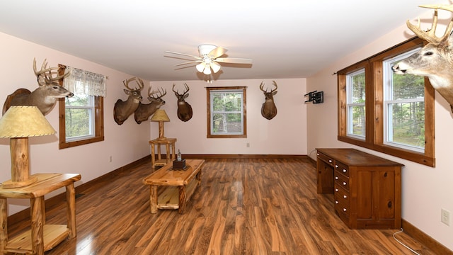 53 Branch Brook Ln, Newfield, ME 04095 - living area with dark wood-style floors, baseboards, and plenty of natural light