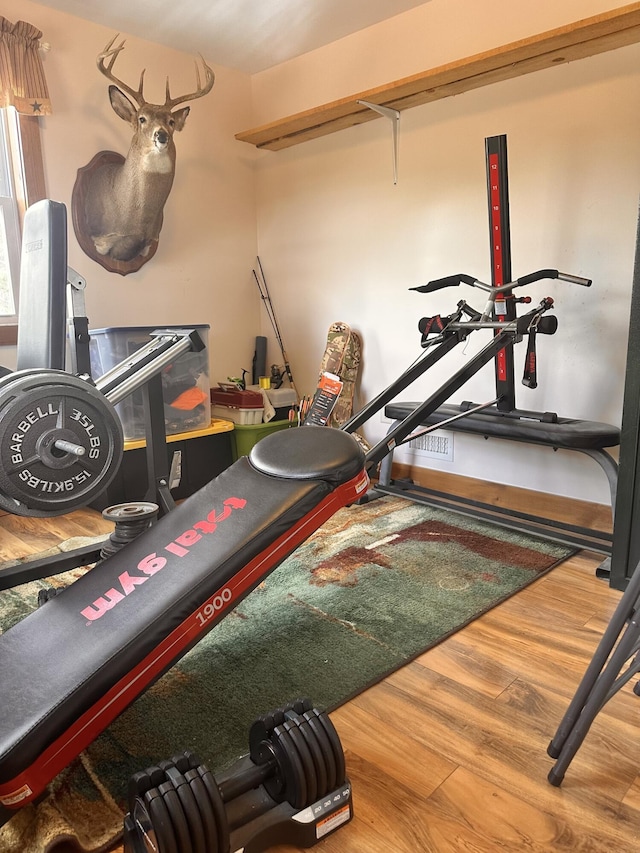 53 Branch Brook Ln, Newfield, ME 04095 - workout room with wood finished floors