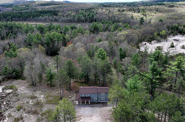 53 Branch Brook Ln, Newfield, ME 04095 - view from above of property featuring a forest