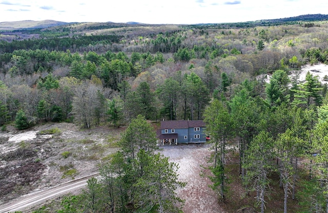 53 Branch Brook Ln, Newfield, ME 04095 - aerial view of property and surrounding area with a forest