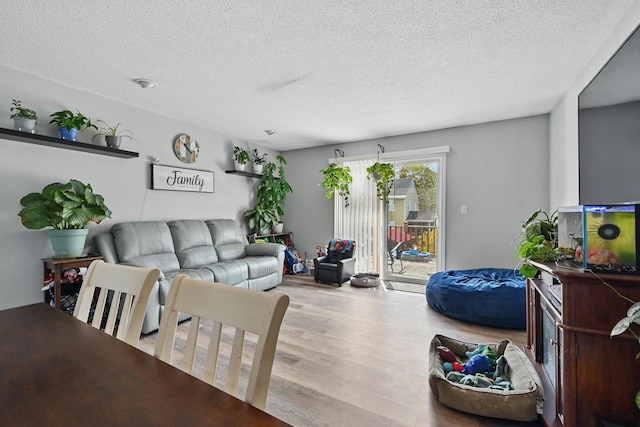 living room with wood finished floors and a textured ceiling