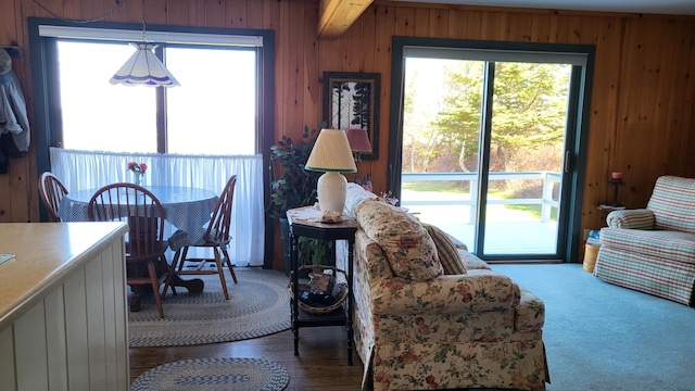6 Glenmere Rd, Saint George, ME 04860 - living area with wood walls and healthy amount of natural light