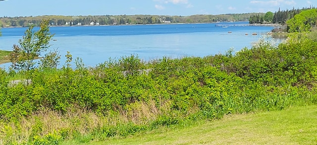 6 Glenmere Rd, Saint George, ME 04860 - water view featuring a heavily wooded area