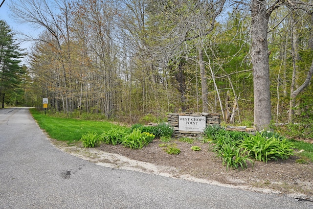 20 Eagle Point Rd, Bath, ME 04530 - view of asphalt street featuring traffic signs and a forest view