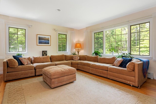 24 Lopaus Point Rd, Tremont, ME 04612 - photo 27