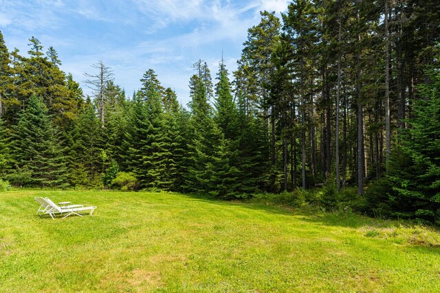 24 Lopaus Point Rd, Tremont, ME 04612 - photo 57