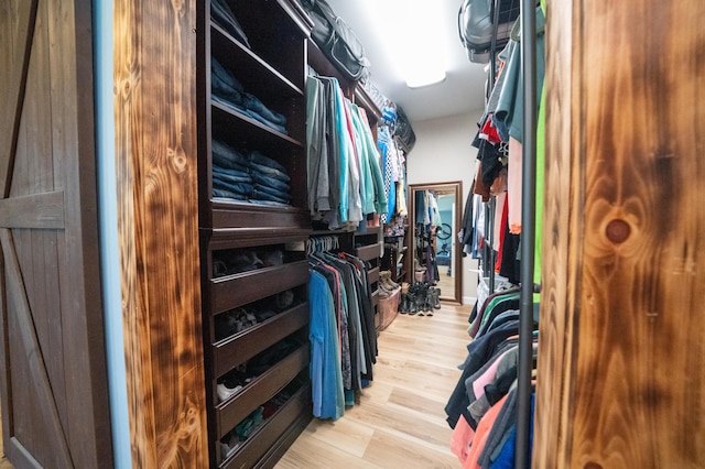 50 Beans Mill Rd, Corinth, ME 04427 - walk in closet with light wood-type flooring