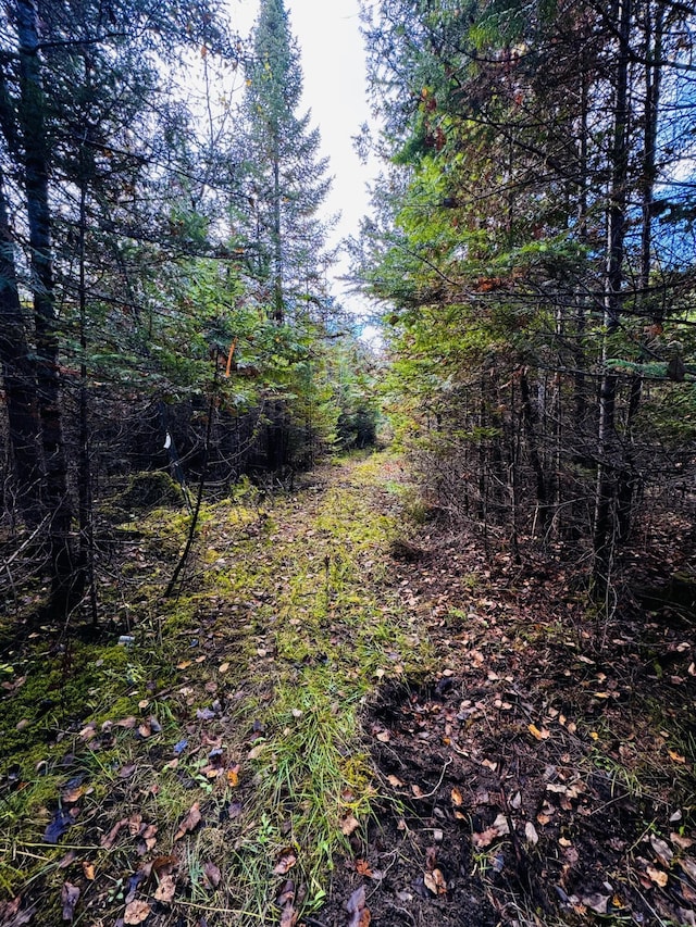 M101L65-1 Line Rd, Dexter, ME 04930