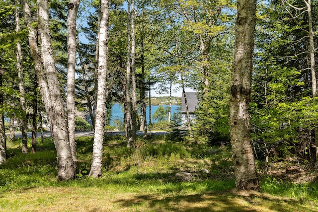 49 Dipper Cove Rd, Harpswell, ME 04066 - water view