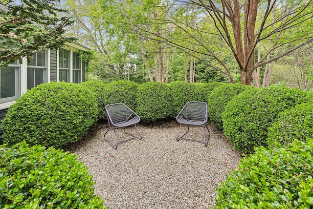 31 Mackworth St, Portland, ME 04103 - view of yard