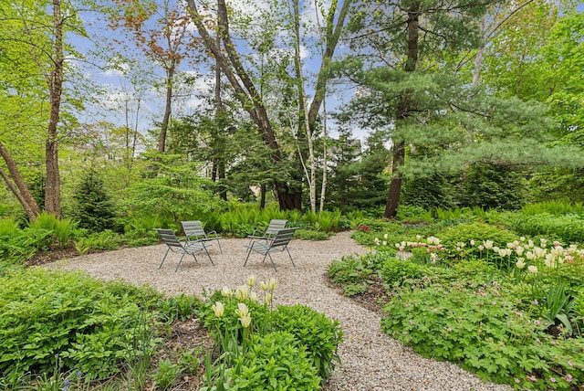31 Mackworth St, Portland, ME 04103 - view of yard with a patio area