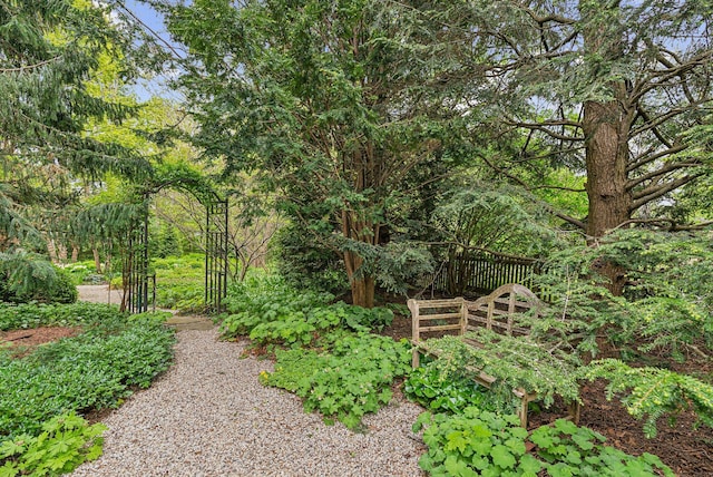 31 Mackworth St, Portland, ME 04103 - view of yard