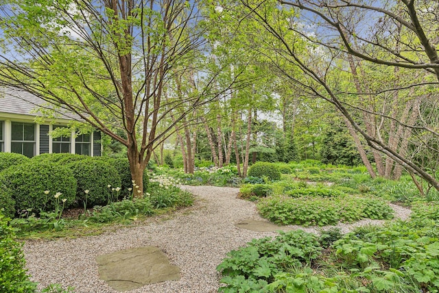 31 Mackworth St, Portland, ME 04103 - view of yard