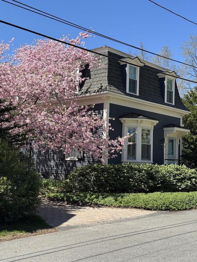 31 Mackworth St, Portland, ME 04103 - view of front of home featuring mansard roof and roof with shingles