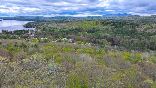 bird's eye view of a water and mountain view and a heavily wooded area