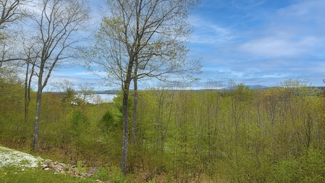 view of nature featuring a large body of water