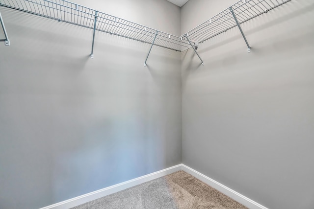 LOT11 Laney Ln, Wells, ME 04090 - walk in closet featuring carpet