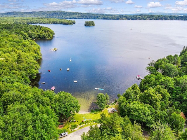 202 Wildewood Ests, Rome, ME 04963 - bird's eye view of a large body of water and a forest