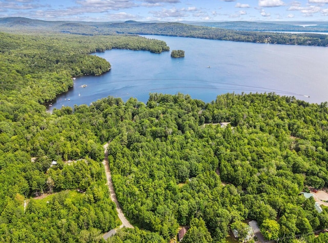 202 Wildewood Ests, Rome, ME 04963 - drone / aerial view of a forest and a nearby body of water