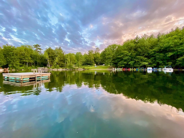 202 Wildewood Ests, Rome, ME 04963 - water view with a floating dock and a heavily wooded area