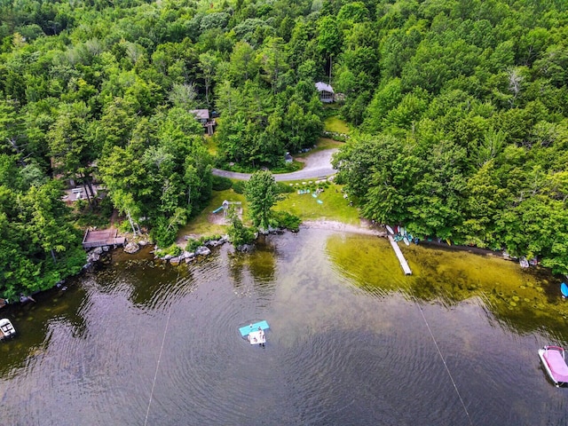 202 Wildewood Ests, Rome, ME 04963 - aerial view of property's location with a heavily wooded area and a nearby body of water