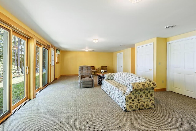 202 Wildewood Ests, Rome, ME 04963 - living room with carpet flooring and baseboards