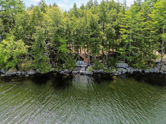 202 Wildewood Ests, Rome, ME 04963 - view of dock