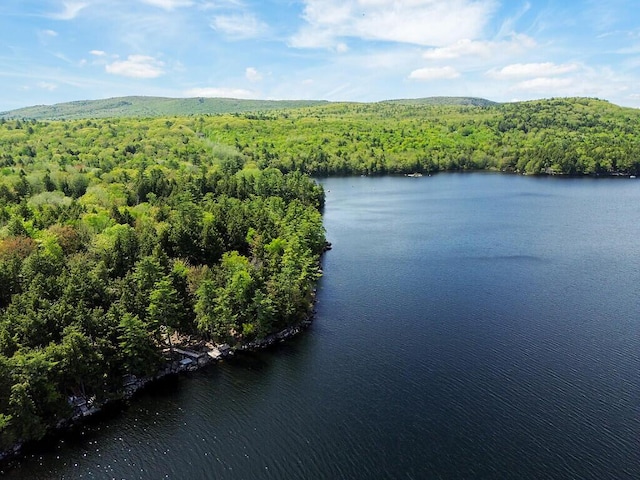 202 Wildewood Ests, Rome, ME 04963 - drone / aerial view of a heavily wooded area and a large body of water