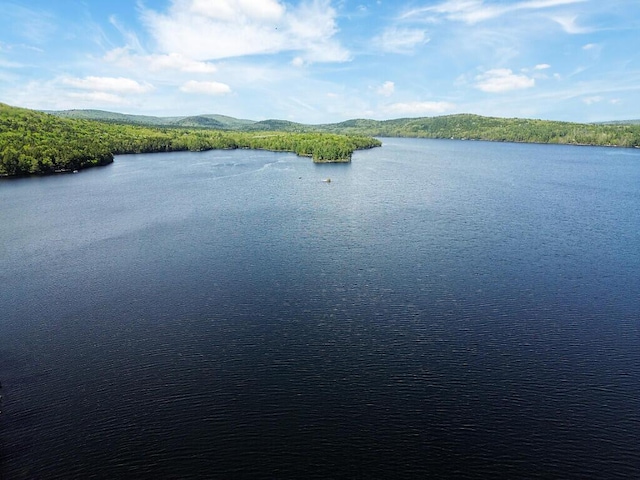 202 Wildewood Ests, Rome, ME 04963 - water view with a forest