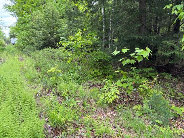 44A Trott Rd, Woolwich, ME 04579