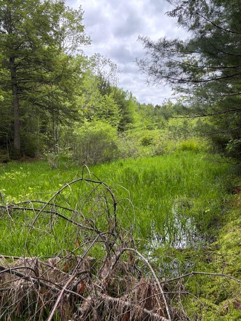 44A Trott Rd, Woolwich, ME 04579
