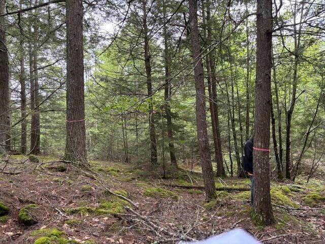44A Trott Rd, Woolwich, ME 04579