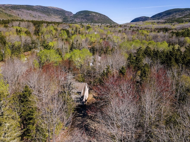 97 Otter Creek Dr, Mount Desert, ME 04660 - photo 24