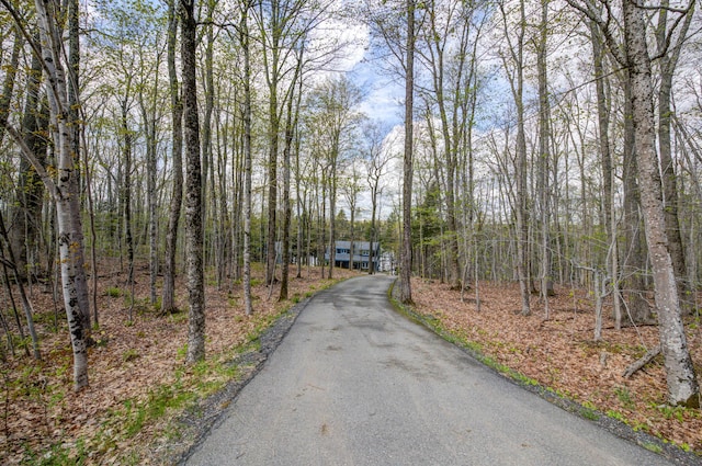25 Winds Way Dr, Nobleboro, ME 04555 - view of asphalt driveway with a forest view