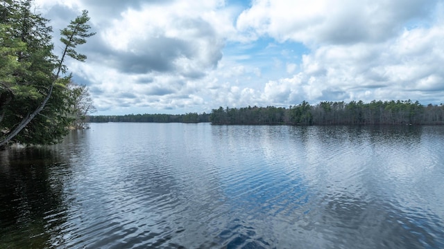25 Winds Way Dr, Nobleboro, ME 04555 - water view featuring a heavily wooded area