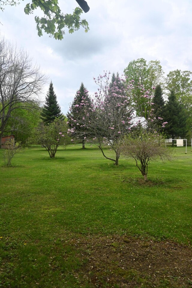 40 Baker St, Bingham, ME 04920 - view of green lawn