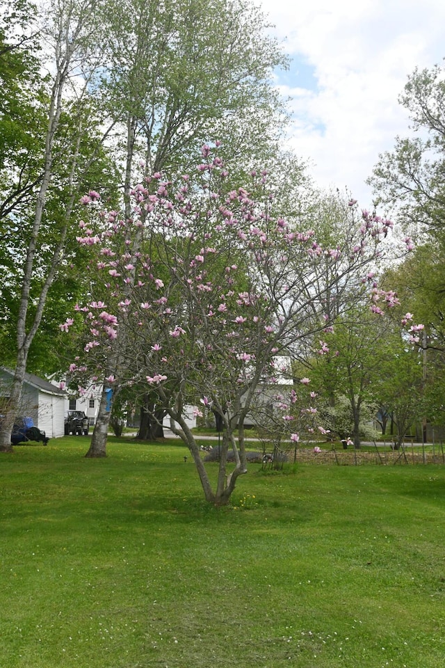 40 Baker St, Bingham, ME 04920 - view of green lawn