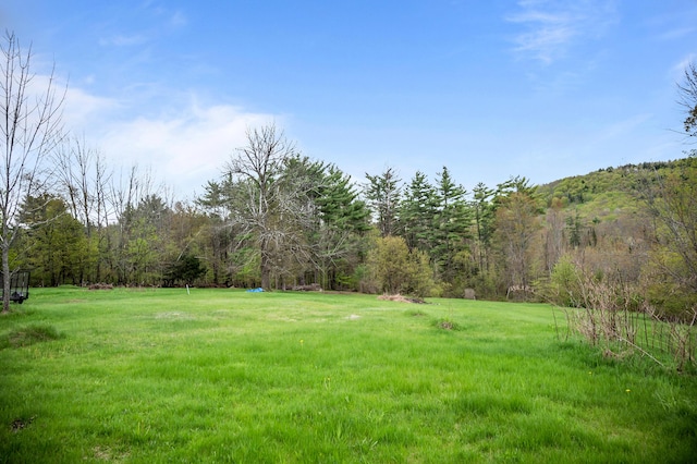691 N Rd, Parsonsfield, ME 04047 - view of green lawn with a wooded view