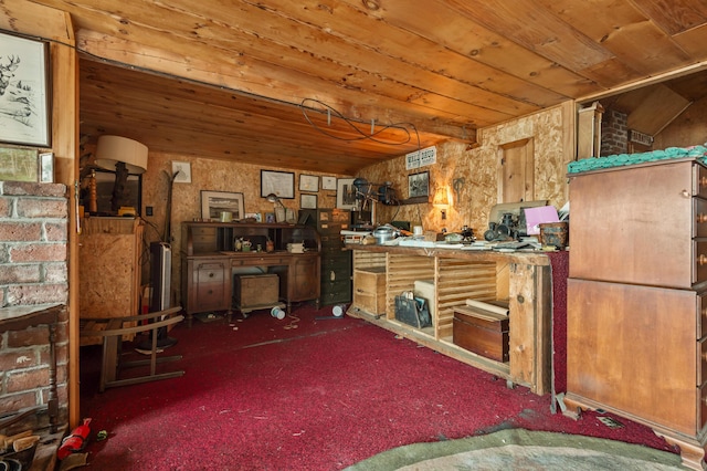 12 York Ln, Dallas Plt, ME 04970 - miscellaneous room with carpet floors, wood ceiling, and a wood stove