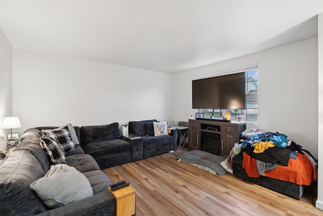 10 Hornet St Unit 10, Brunswick, ME 04011 - living area with wood finished floors