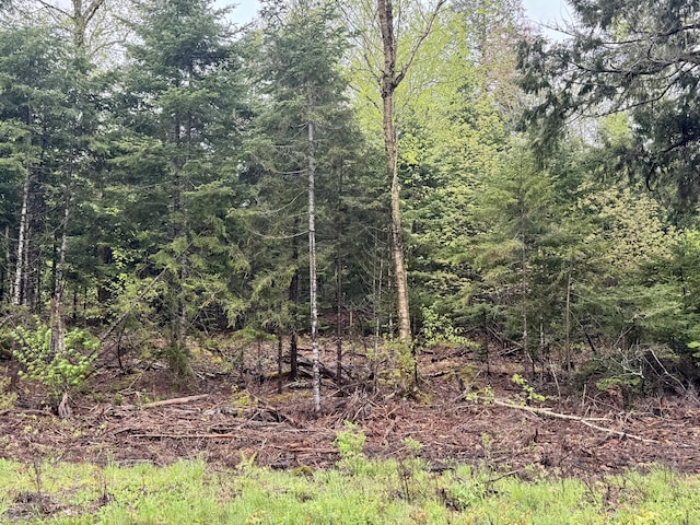 M15L12 Golding Rd, Perry, ME 04667