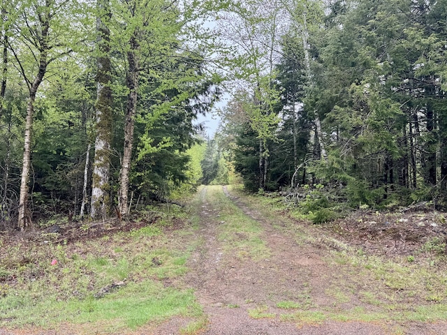 M15L12 Golding Rd, Perry, ME 04667