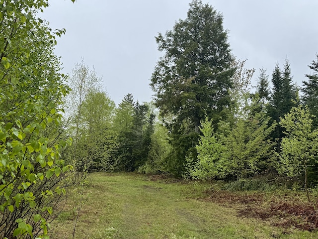 M15L12 Golding Rd, Perry, ME 04667
