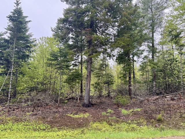 M15L12 Golding Rd, Perry, ME 04667