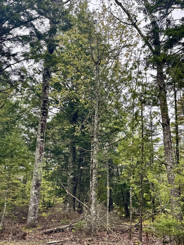 M15L12 Golding Rd, Perry, ME 04667