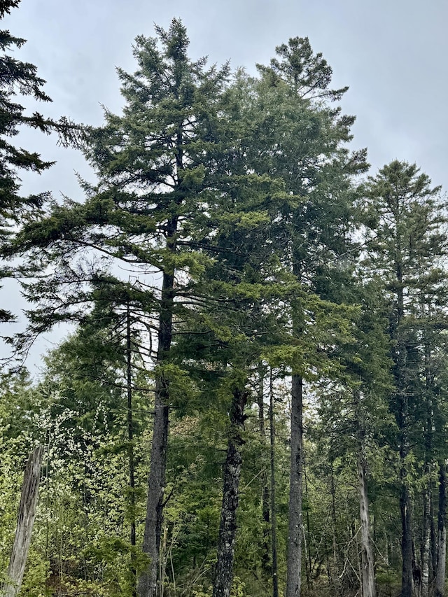M15L12 Golding Rd, Perry, ME 04667