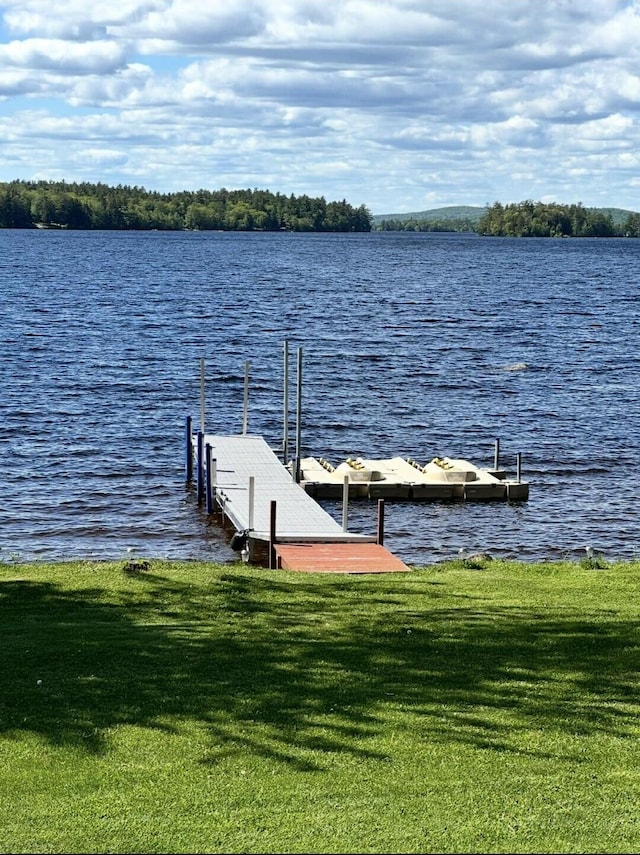 1824 Sunny Cove Ln, Meddybemps, ME 04657 - dock area featuring a water view and a yard