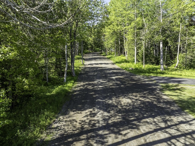 1824 Sunny Cove Ln, Meddybemps, ME 04657 - view of asphalt road with a wooded view