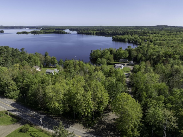 1824 Sunny Cove Ln, Meddybemps, ME 04657 - aerial overview of property's location featuring a heavily wooded area and a nearby body of water