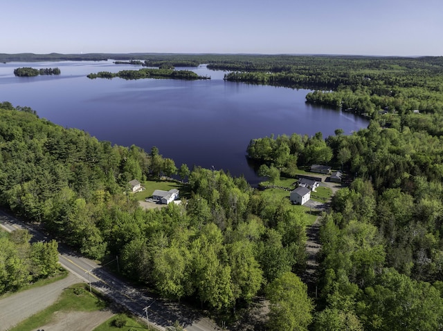 1824 Sunny Cove Ln, Meddybemps, ME 04657 - aerial overview of property's location with a heavily wooded area and a nearby body of water
